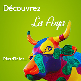 Découvrez La Poya des Artistes